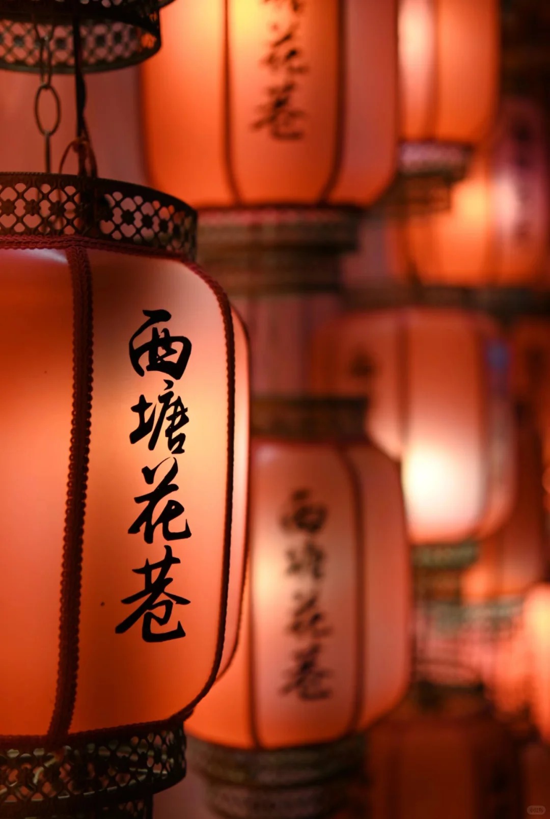 _6_霍啤酒🍺（旅行版）_西塘-古镇-来自52tours 我爱旅游网